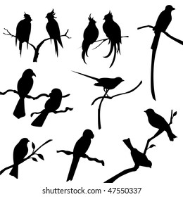 bird silhouettes