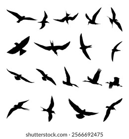 Bird Silhouettes Animal art design collection logo icon