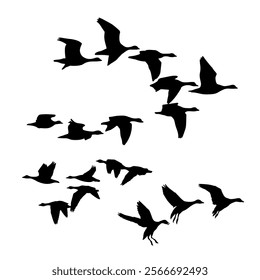 Bird Silhouettes Animal art design logo icon set