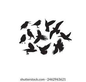 Bird Silhouettes, art vector design
