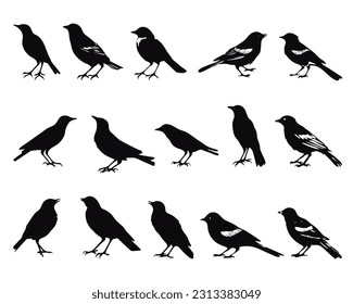 bird silhouettes artistic vector collection, isolated on white