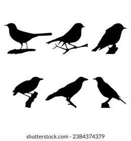Bird silhouettes black white collection vector illustration.