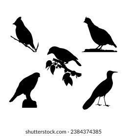 Bird silhouettes black white collection vector illustration.