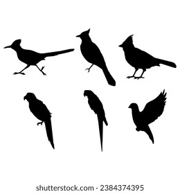 Bird silhouettes black white collection vector illustration.