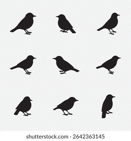 bird silhouettes, black and white, vector graphics, various poses, perched birds, flying birds, detailed bird shapes, minimalist design, ornithology illustration, nature clipart, bird watching guide