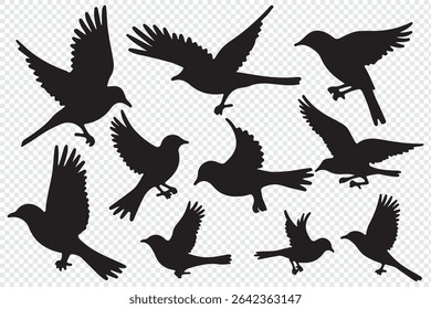 bird silhouettes, black and white, vector graphics, various poses, perched birds, flying birds, detailed bird shapes, minimalist design, ornithology illustration, nature clipart, bird watching guide