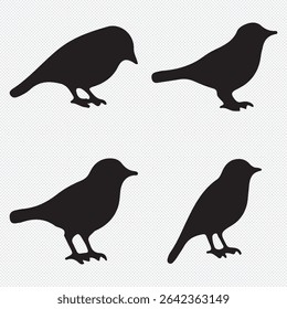 bird silhouettes, black and white, vector graphics, various poses, perched birds, flying birds, detailed bird shapes, minimalist design, ornithology illustration, nature clipart, bird watching guide