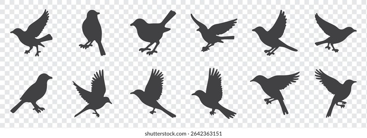 bird silhouettes, black and white, vector graphics, various poses, perched birds, flying birds, detailed bird shapes, minimalist design, ornithology illustration, nature clipart, bird watching guide
