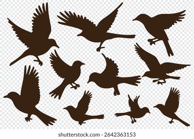 bird silhouettes, black and white, vector graphics, various poses, perched birds, flying birds, detailed bird shapes, minimalist design, ornithology illustration, nature clipart, bird watching guide