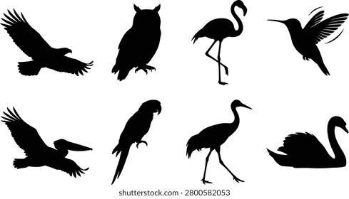 Bird silhouettes collection featuring eagle, owl, flamingo, hummingbird, pelican, parrot, crane, and swan species