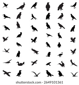 Bird Silhouettes Collection – Flying and Standing Poses Vector Set,Wildlife, Nature, Animal Shape Pack