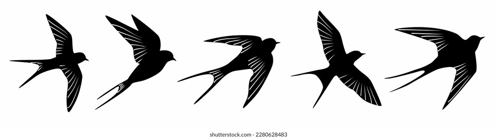 Bird silhouettes, collection of bird silhouettes on white background