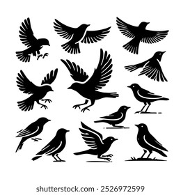 Bird Silhouettes Collection: Variety of Flying and Perched Birds