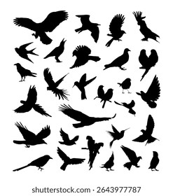 bird silhouettes collection various flying poses