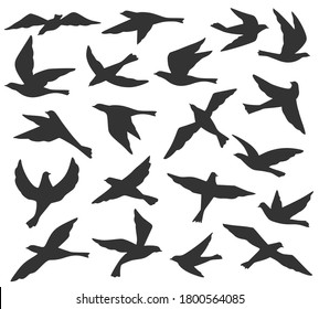 Bird silhouettes. Flying birds flock, animal wildlife migration, doves soar in sky. Black tattoo templates vector set. Pigeons in different positions collection isolated on white illustration