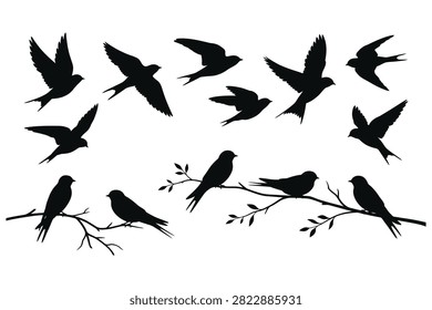 Bird silhouettes flying and perched on branches against transparent background