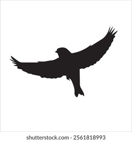 Bird silhouettes, bird flying and standing silhouettes 