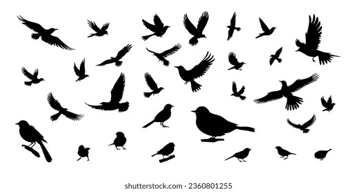 Silhouettes de aves, vuelo de aves y siluetas de pie detallados