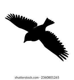 Bird silhouettes, bird flying and standing silhouettes detailed