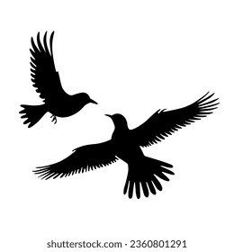 Bird silhouettes, bird flying and standing silhouettes detailed