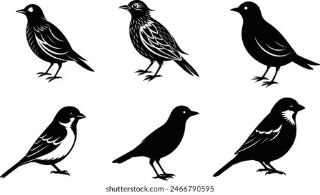 Bird silhouettes icon collection vector illustration.