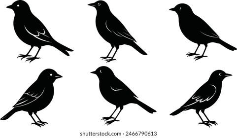 Bird silhouettes icon collection vector illustration.