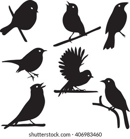 Bird Silhouettes, bird on branch, vector collection, isolated