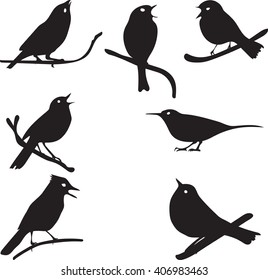 Bird Silhouettes, bird on branch, vector collection, isolated