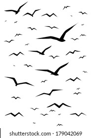 Bird silhouettes on white background.