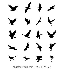 Bird Silhouettes on white background.