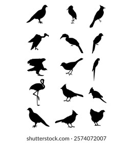 Bird Silhouettes on white background.