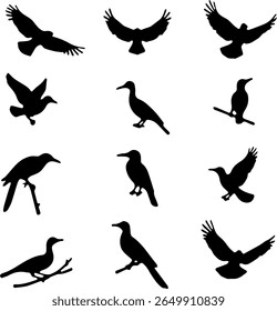 Bird Silhouettes Set 12 Black Vector Bird Icons on White Background