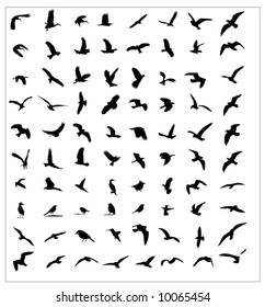 Bird silhouettes set