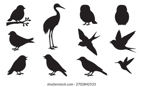 Bird Silhouetten Set. Vektorgrafik der Symbole für fliegende Schwalben, stehende Kraniche, perchende Sperlinge und Kolibris. Schwarze Naturformen.