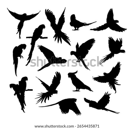bird silhouettes showing various flying positions