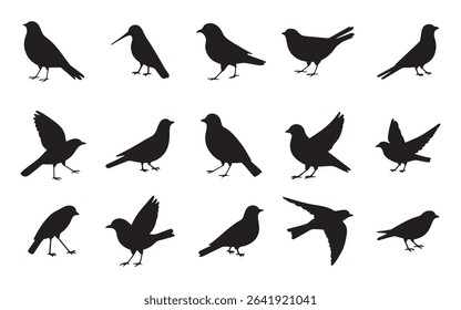 Bird Silhouettes in Various Poses on White Background.eps