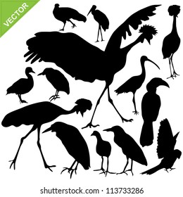 Bird silhouettes vector