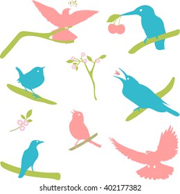 Bird Silhouettes. Vector Collection of Bird Silhouettes, colored silhouettes. 