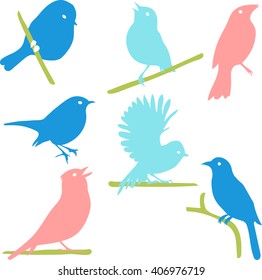 Bird Silhouettes, Vector Collection, colored silhouettes. 