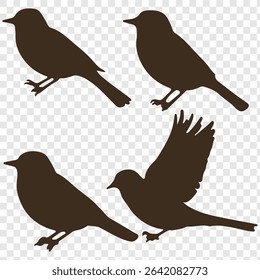 bird silhouettes, vector graphics, various poses, detailed bird shapes, minimalist design, ornithology illustration, nature clipart.