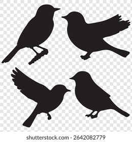 bird silhouettes, vector graphics, various poses, detailed bird shapes, minimalist design, ornithology illustration, nature clipart.