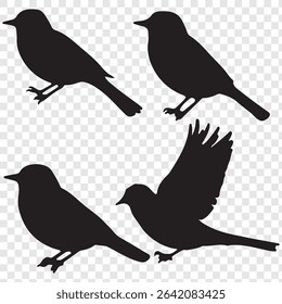 bird silhouettes, vector graphics, various poses, detailed bird shapes, minimalist design, ornithology illustration, nature clipart.