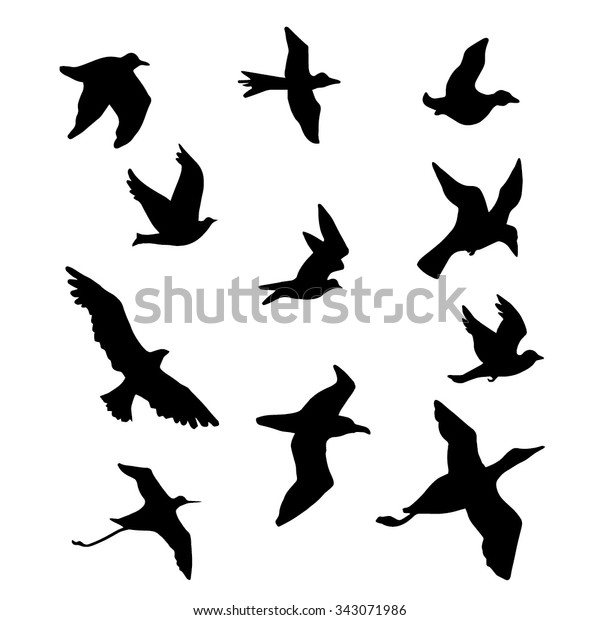 Bird Silhouettes Vector Illustration Logo Icondrawing Stock Vector ...