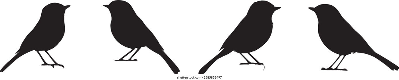 Bird Silhouettes Vector, Isolated Black Birds Illustration.