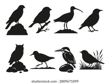 Bird silhouettes vector set, minimalist wild birds collection. 