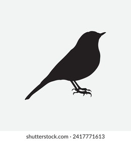 bird silhouettes white background. Vector illustration