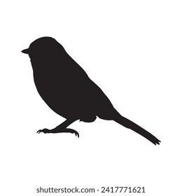 bird silhouettes white background. Vector illustration
