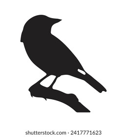 bird silhouettes white background. Vector illustration