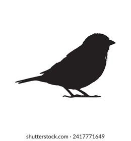 bird silhouettes white background. Vector illustration