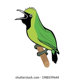 Bird Sing Logo Illustration Vector.